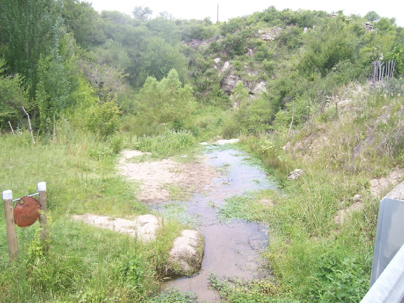 LAS CATITAS 5